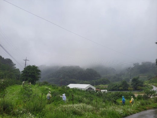 사진