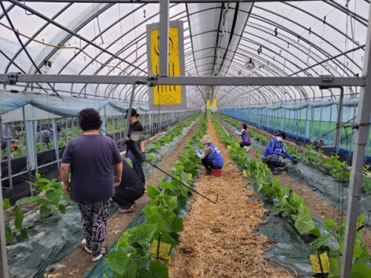 사진