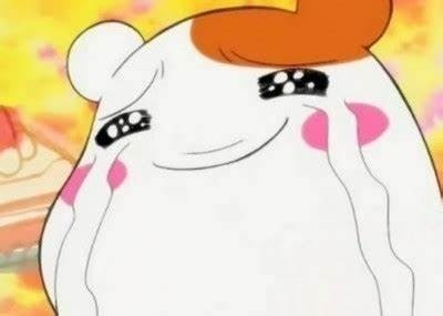 쿼드비 이미지