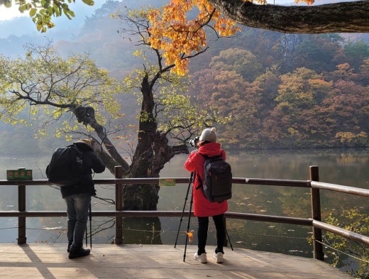 사진