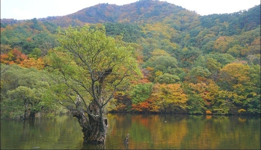 사진
