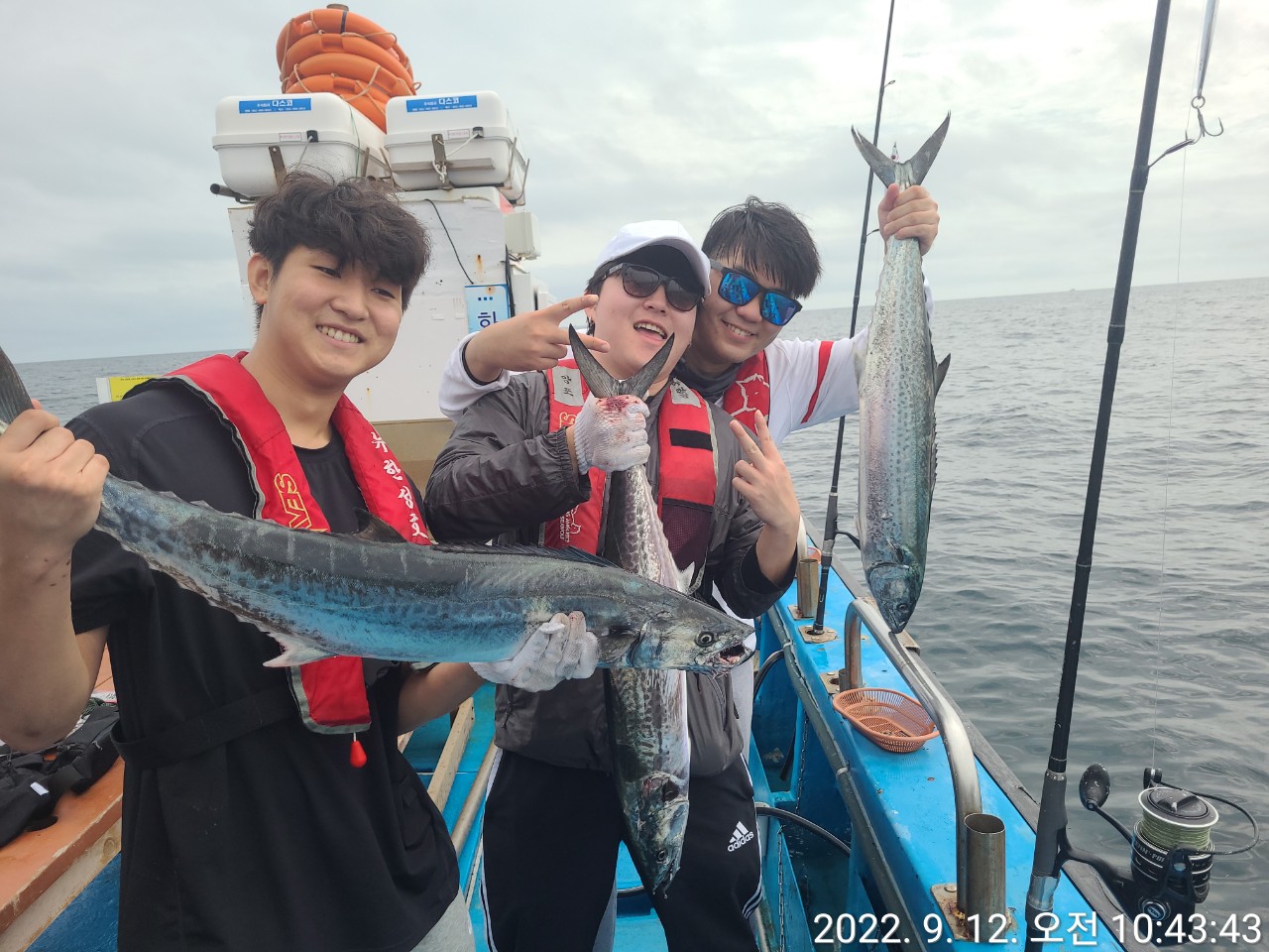 5_4dhUd018svc1prcg977notnh_9bt2m0.jpg