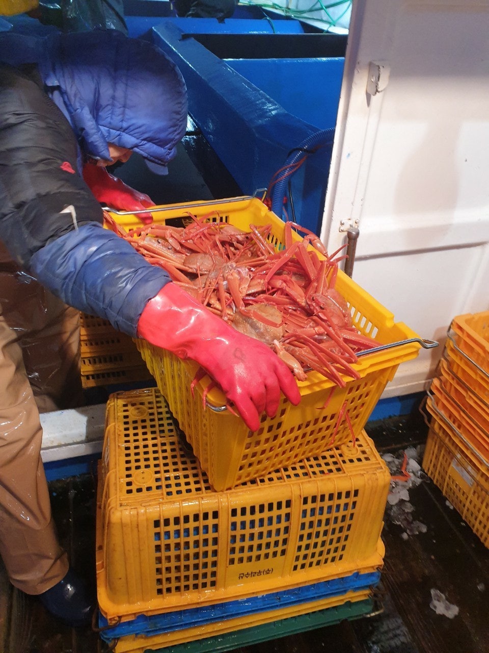 사용자가 올린 이미지