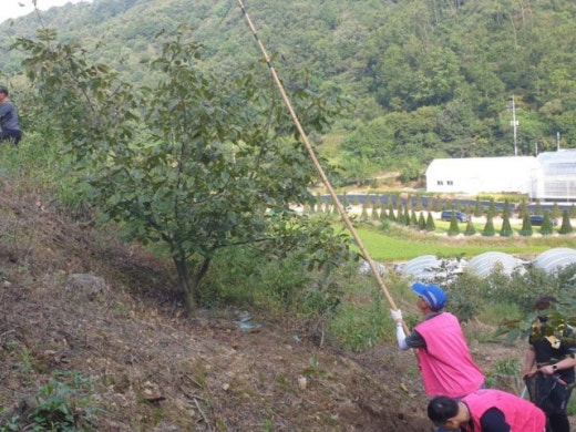 사진