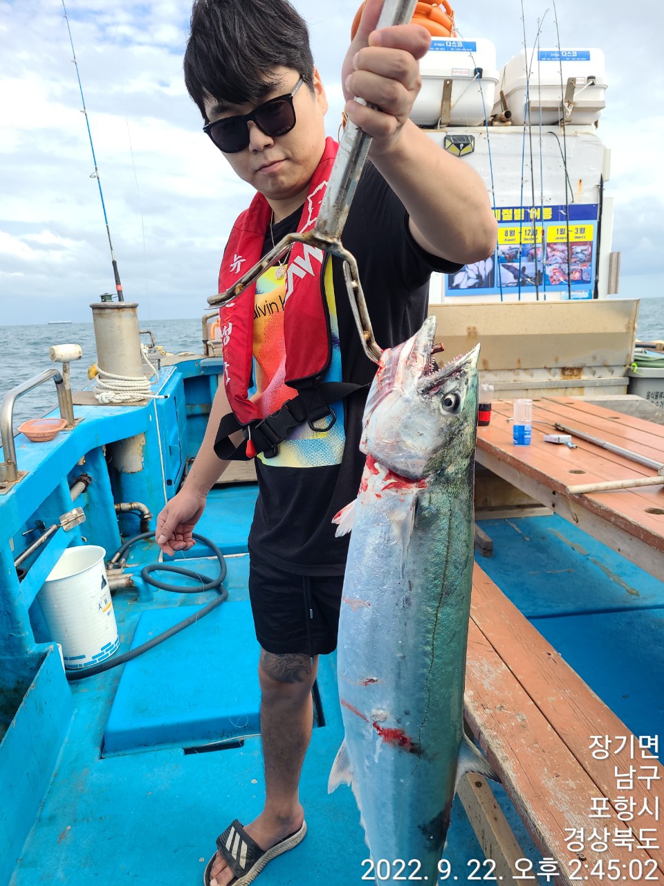 j_d5dUd018svc1s4v143j5sdyb_9bt2m0.jpg