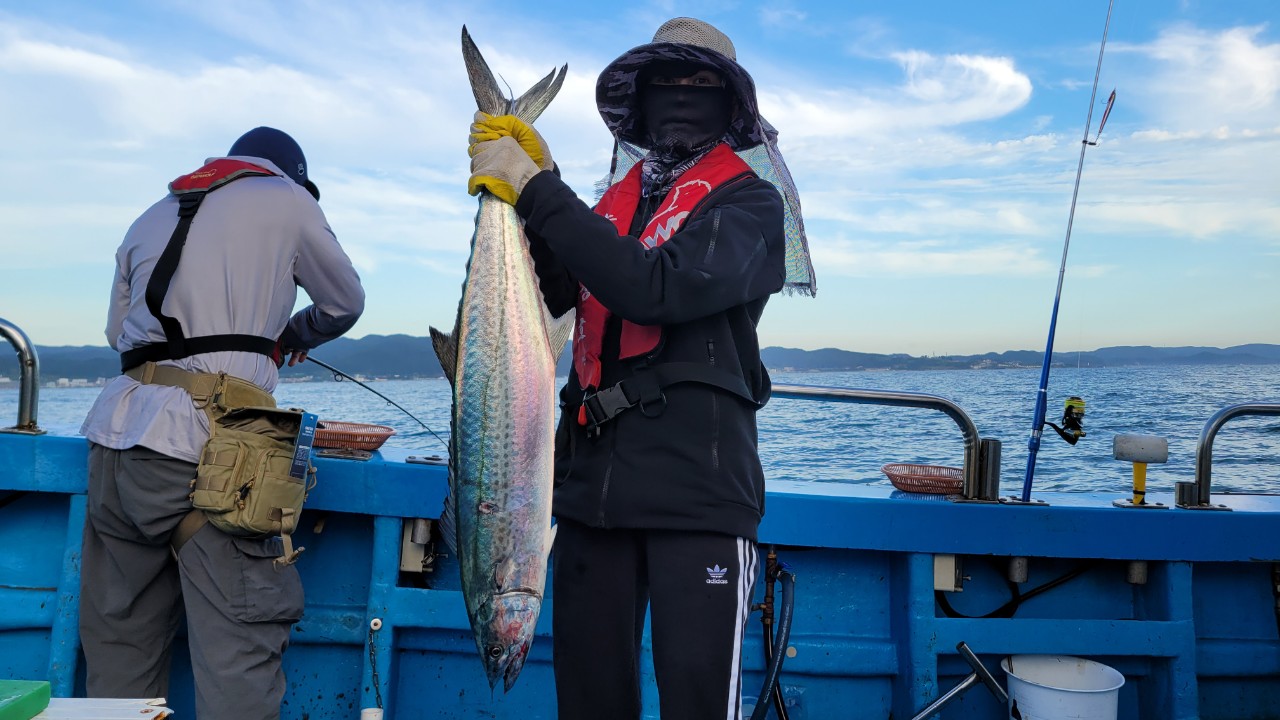 8_ja8Ud018svcv2hwk9k3eq6b_qs86qm.jpg