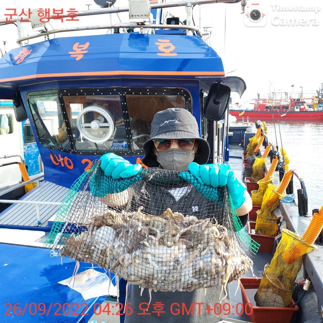 쭈.갑 먹물조황+ - 9/26일자 쭈꾸미조황 -군산새만금낚시 행복호-