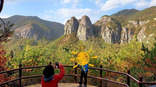 사진