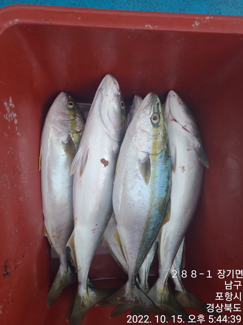 0_a36Ud018svc167halfy0ab31_9bt2m0.jpg