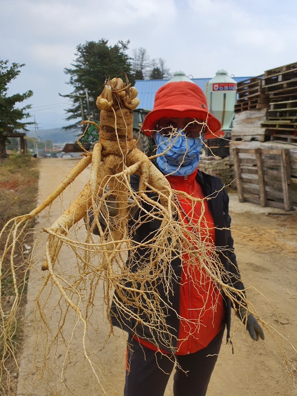 신바람 중고 농기계 매물