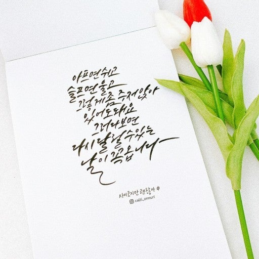 💕💕 2025년 12월 02일 화요일 💕💕