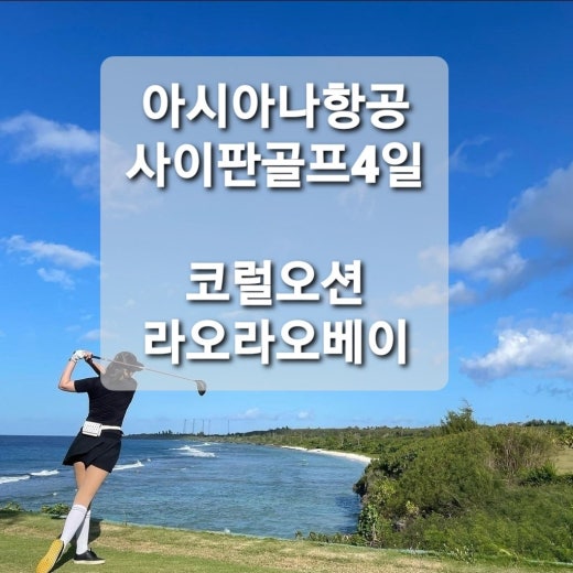 아시아나투어항공 이미지