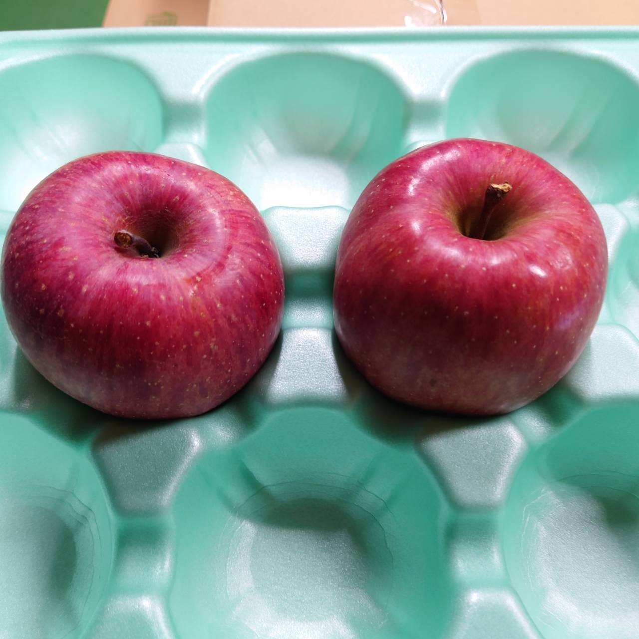 りんごさま 確認用