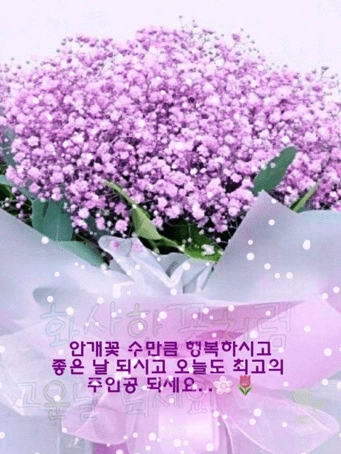 신바람 중고 농기계 매물