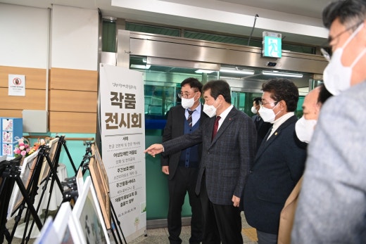 사진