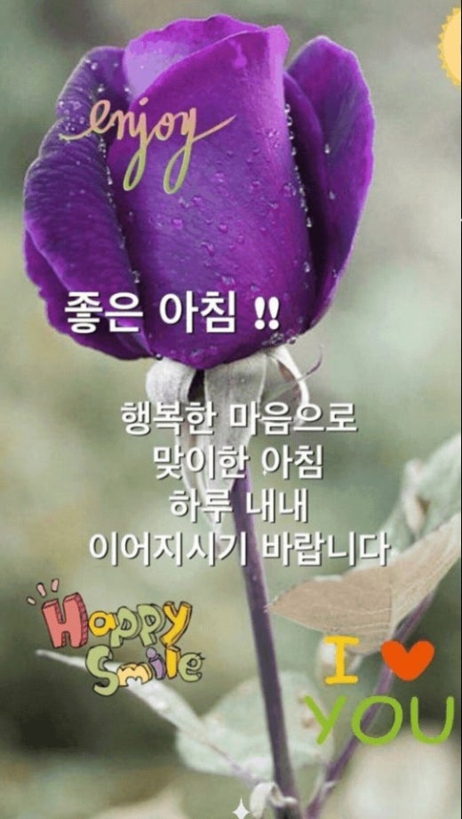 신바람 중고 농기계 매물