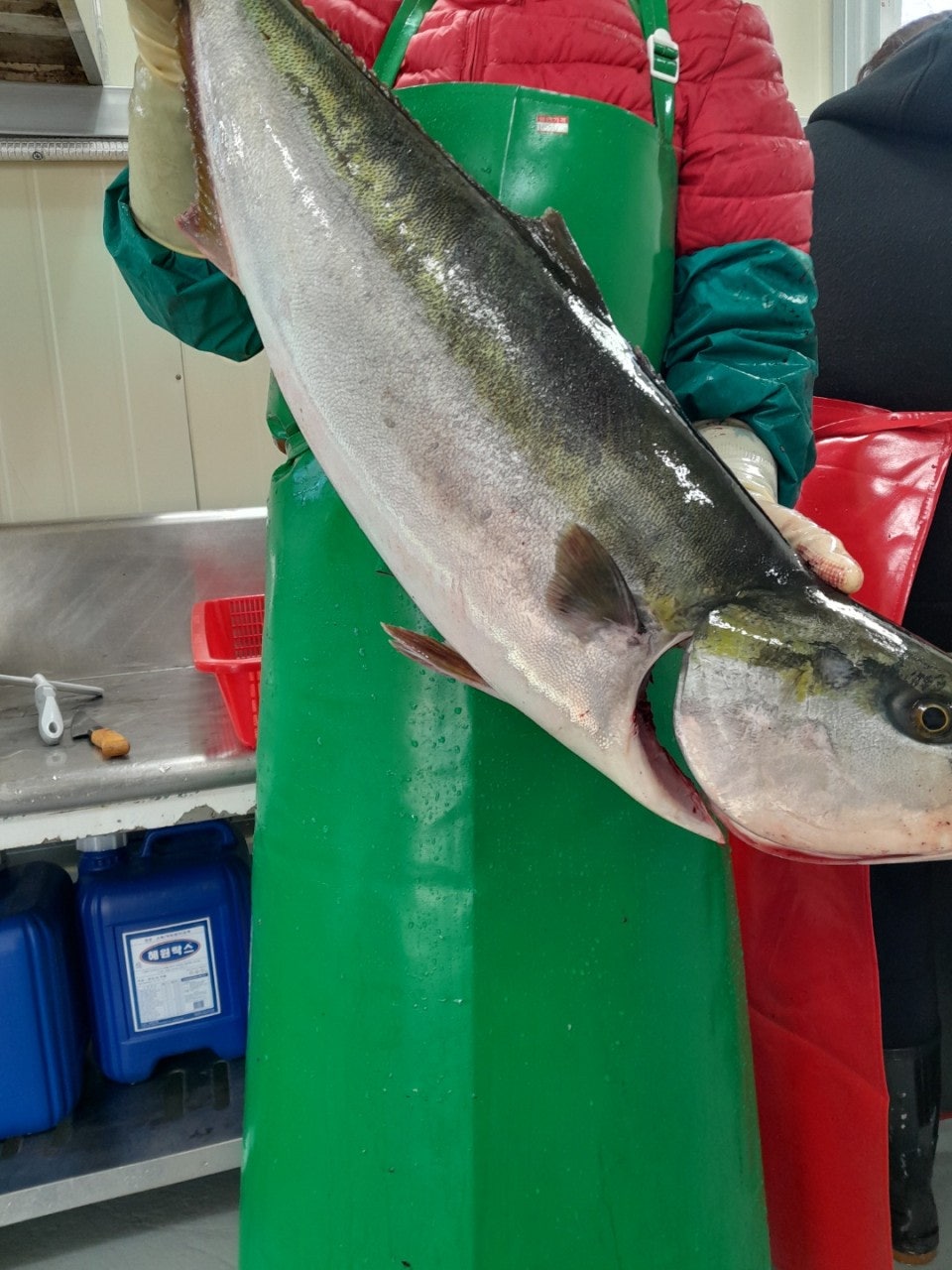 사용자가 올린 이미지