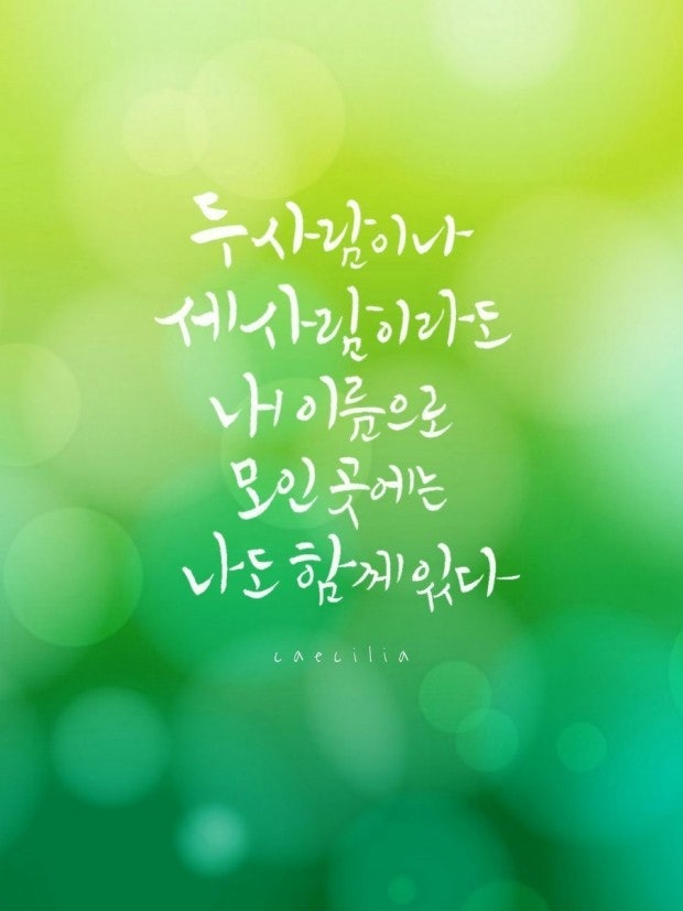 사용자가 올린 이미지