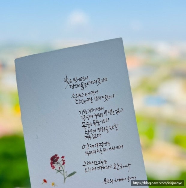 사용자가 올린 이미지