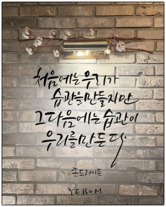 사용자가 올린 이미지