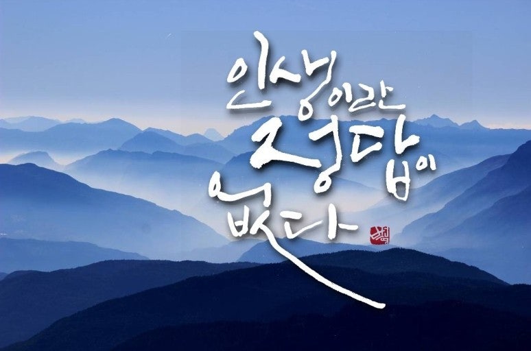 사용자가 올린 이미지