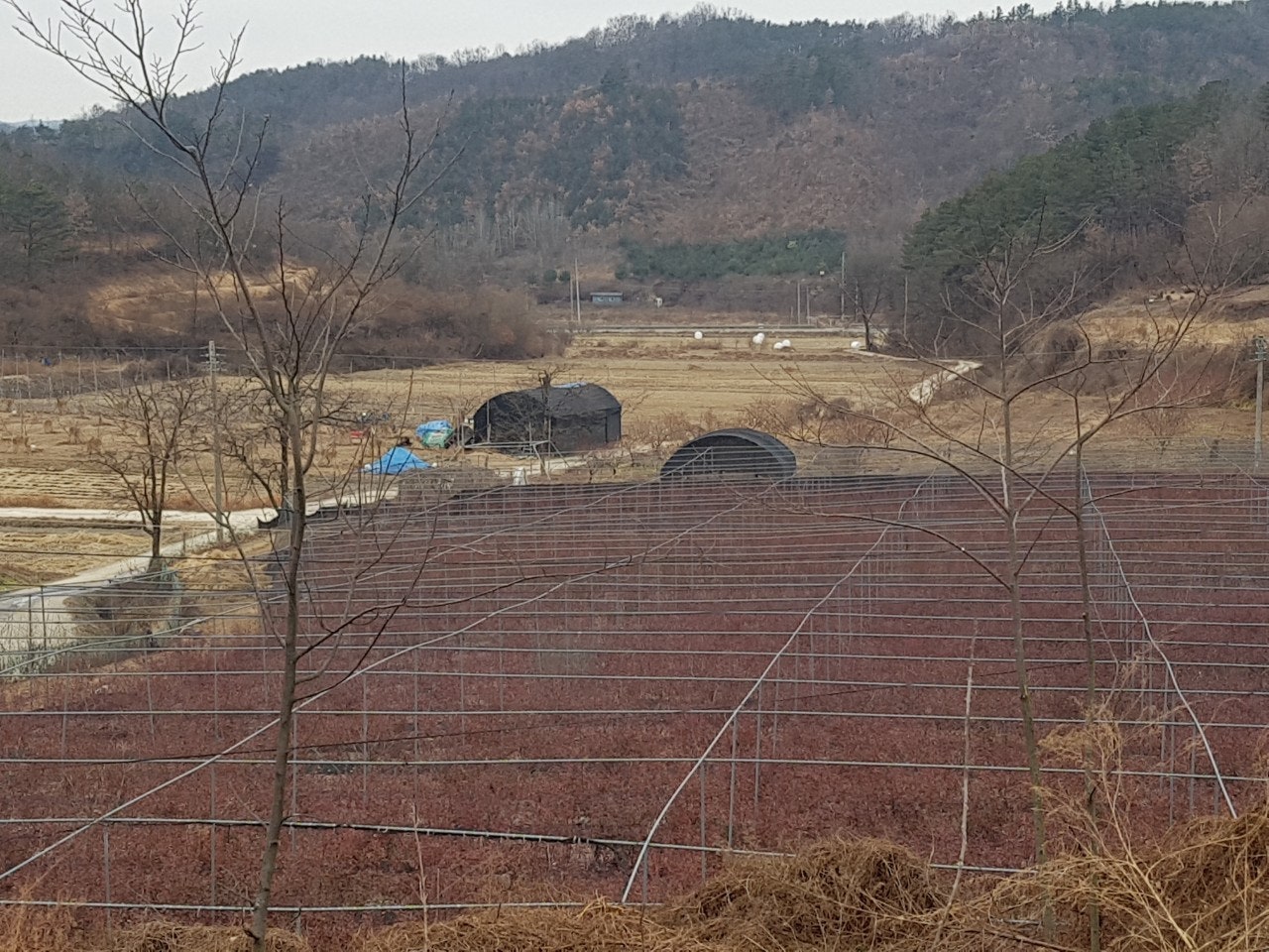 신바람 중고 농기계 매물