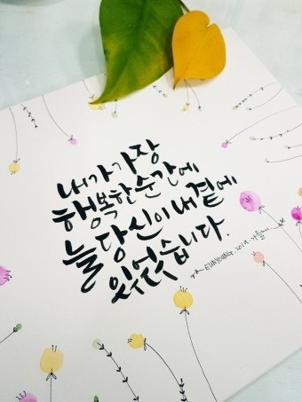 사용자가 올린 이미지