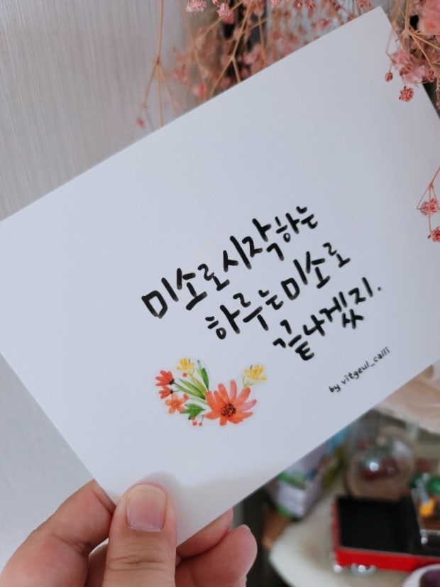 사용자가 올린 이미지