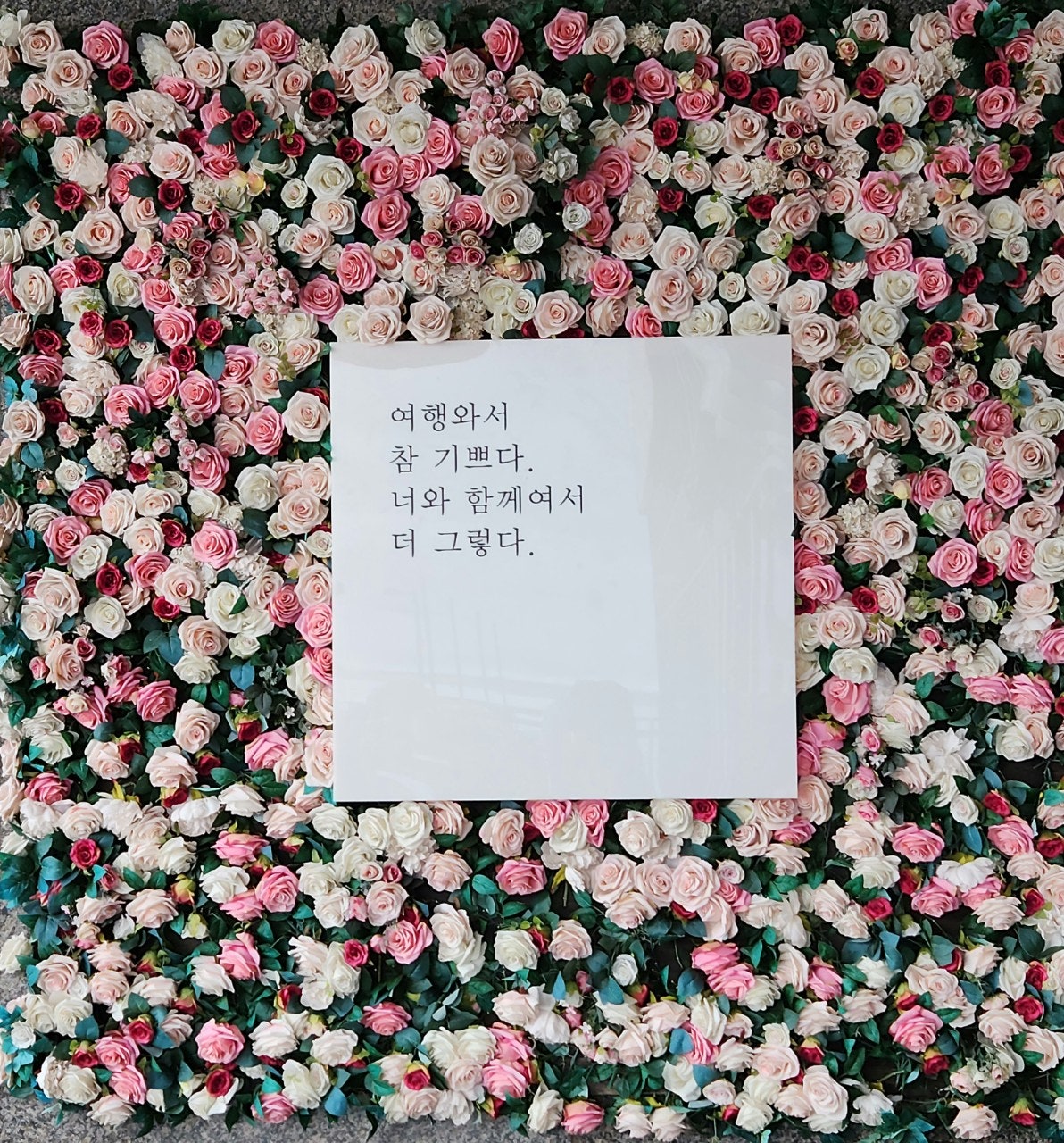 에이뉴 이미지