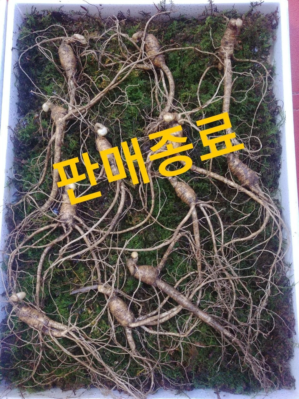 신바람 중고 농기계 매물