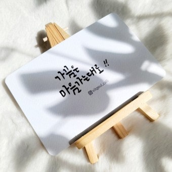 사용자가 올린 이미지
