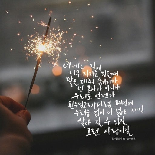 사용자가 올린 이미지