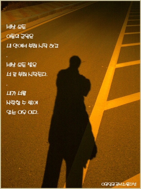 사용자가 올린 이미지