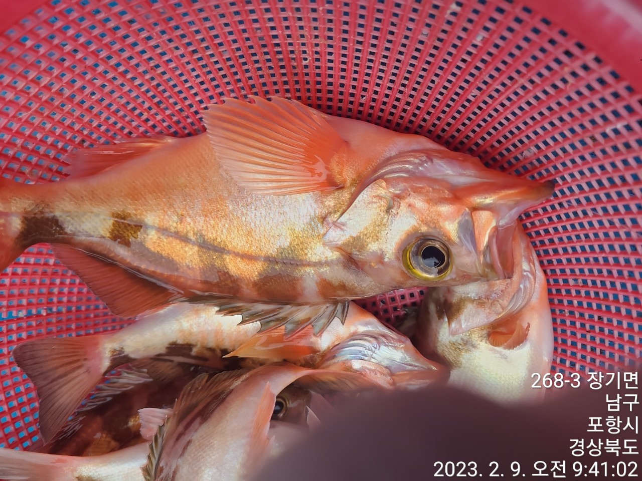 g_h0aUd018svc10jr035dcumko_9bt2m0.jpg