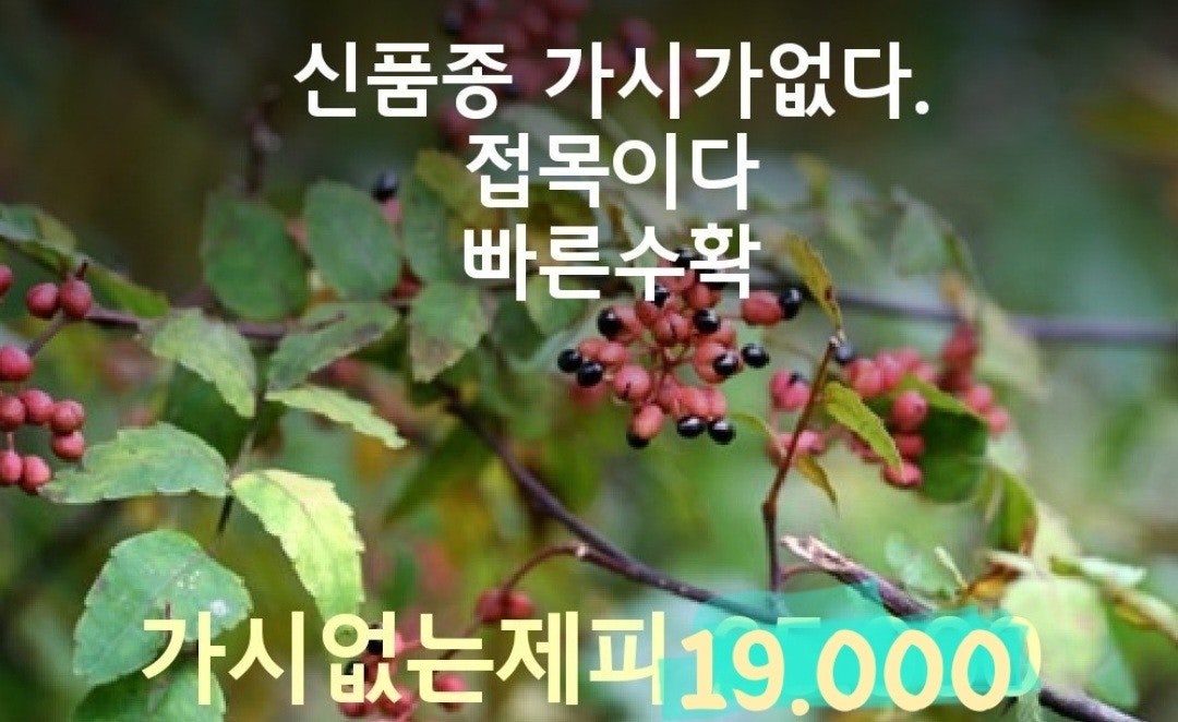 신바람 중고 농기계 매물