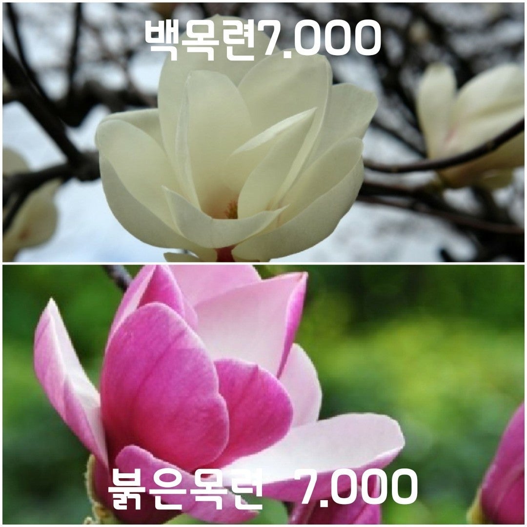 신바람 중고 농기계 매물