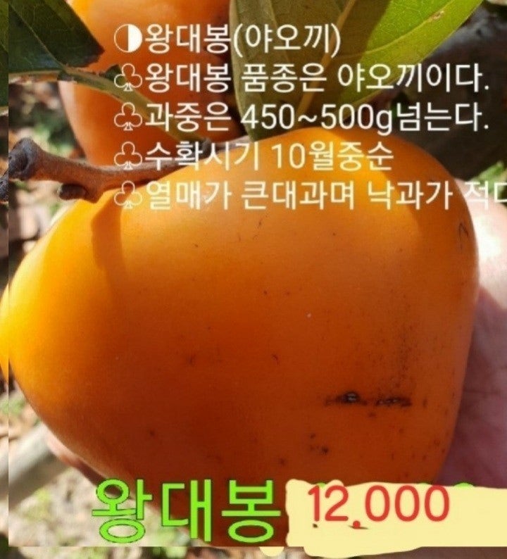 신바람 중고 농기계 매물