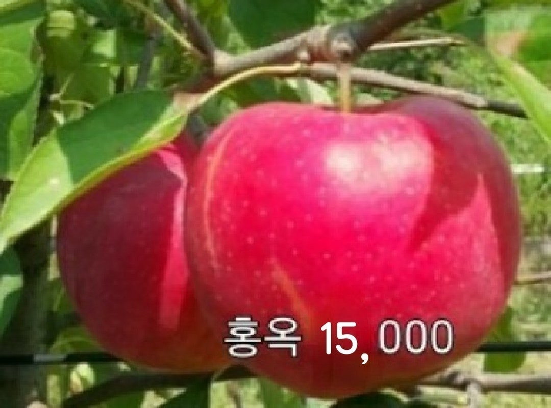 신바람 중고 농기계 매물