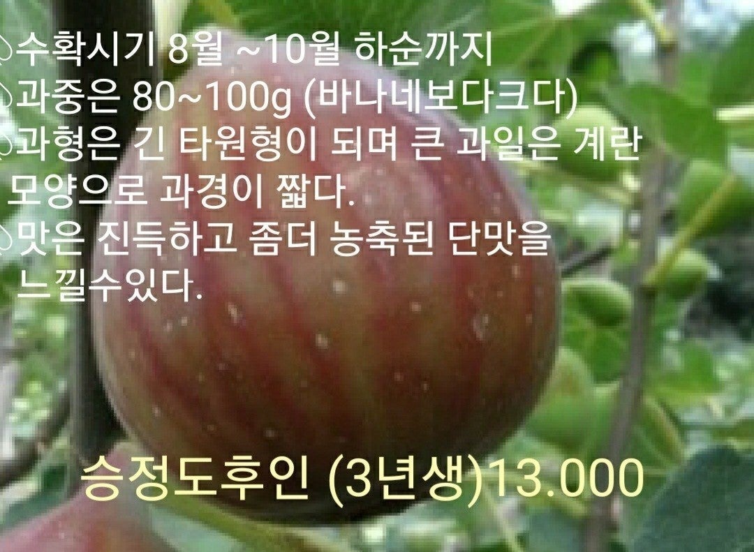 신바람 중고 농기계 매물