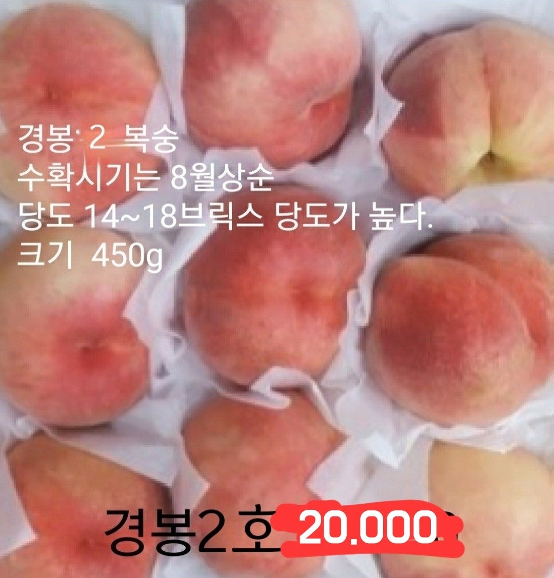 신바람 중고 농기계 매물