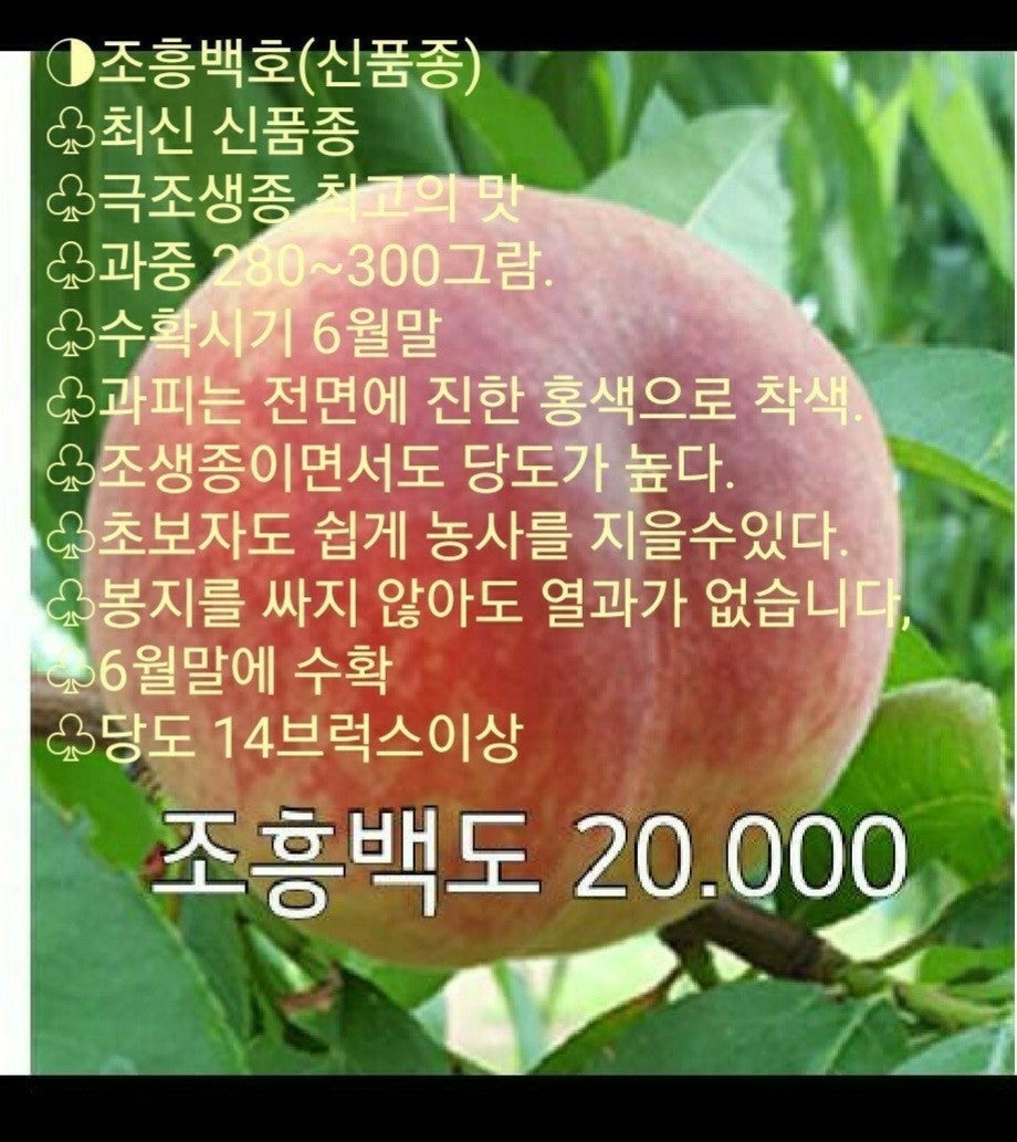 신바람 중고 농기계 매물