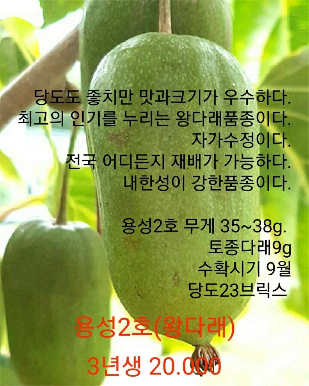 신바람 중고 농기계 매물