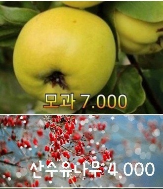 신바람 중고 농기계 매물