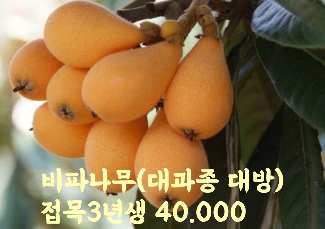 신바람 중고 농기계 매물