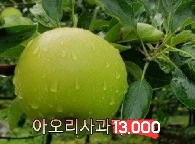 신바람 중고 농기계 매물