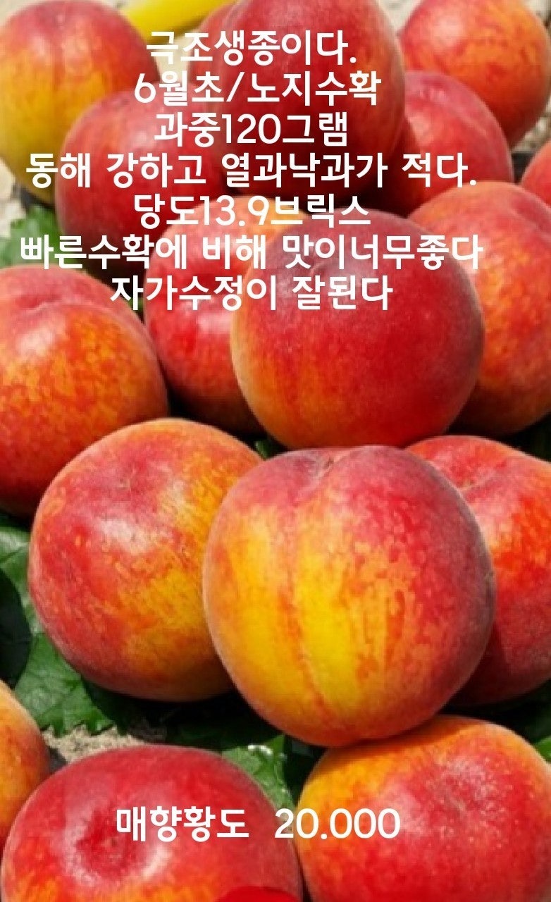 신바람 중고 농기계 매물