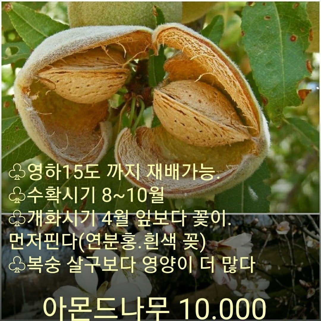 신바람 중고 농기계 매물