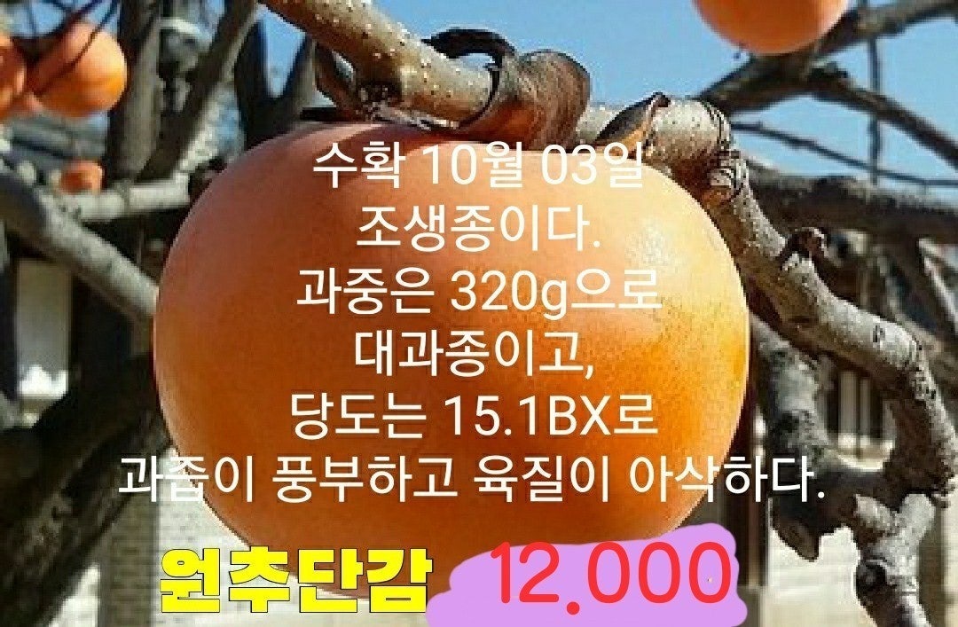 신바람 중고 농기계 매물