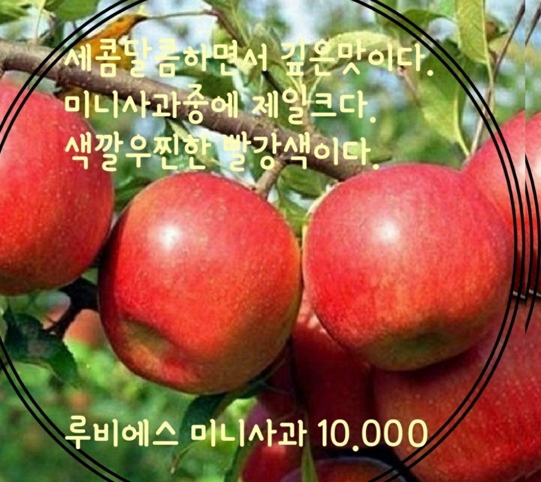 신바람 중고 농기계 매물