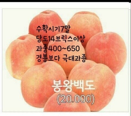 신바람 중고 농기계 매물